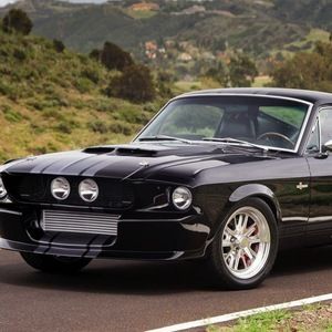 Meet your Posher, Rose